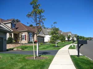 Beautiful suburban street